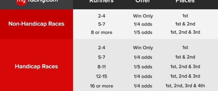 what does plus 800 mean in betting