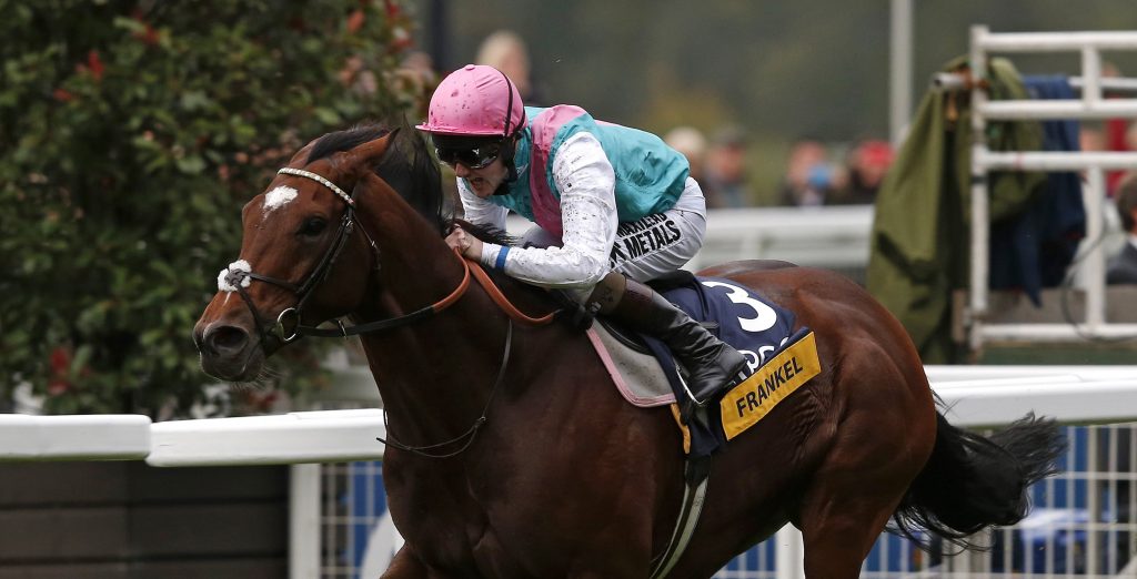 Frankel Foal Tracker - Entries and Results