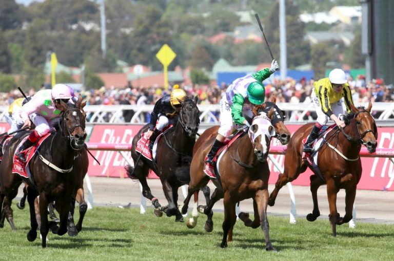 The Melbourne Cup | myracing