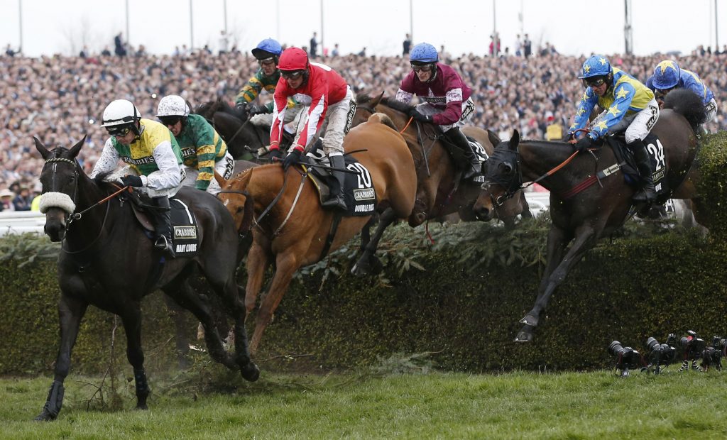 Grand National Tips - Fence