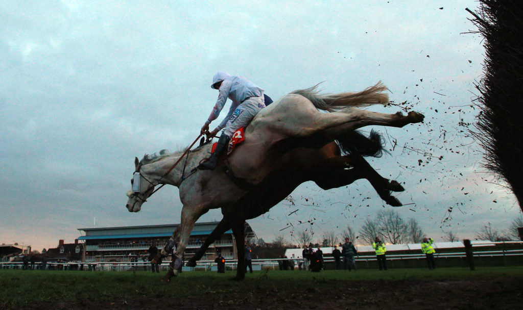 Warwick Tips and Trends - Classic Chase