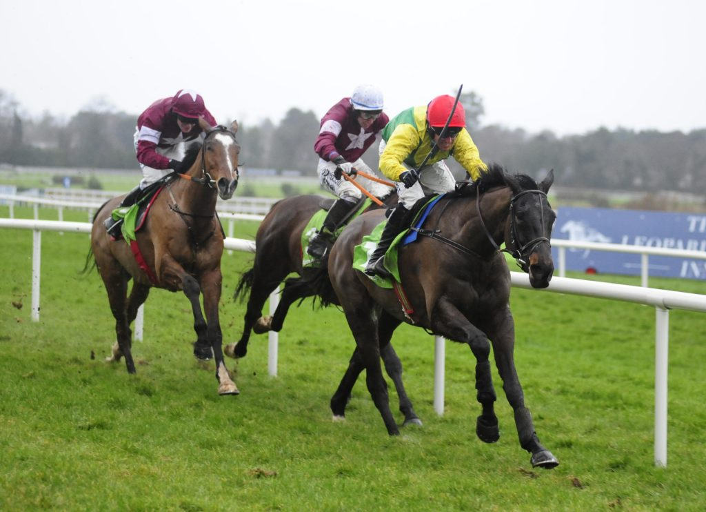 Leopardstown Tips and Trends - Irish Gold Cup