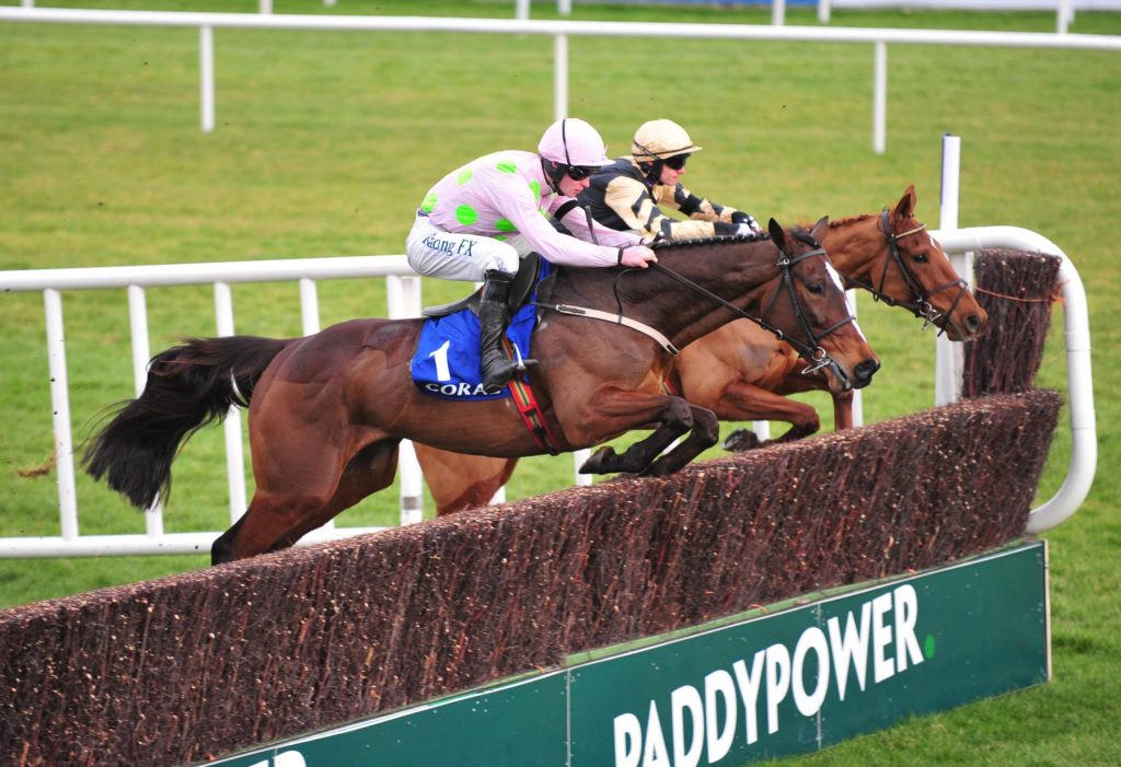 Leopardstown Tips and Trends - Dublin Chase