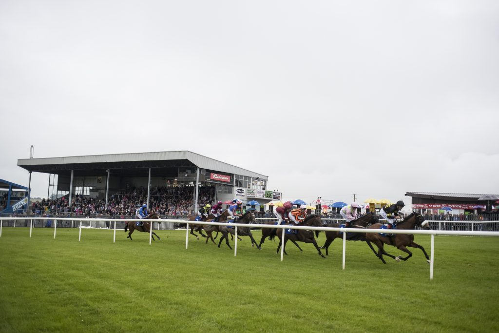 The Lenebane Stakes field. Roscommon.