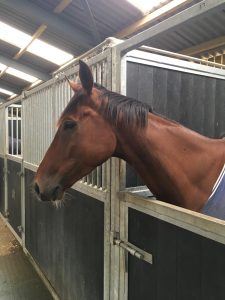 emma lavelle stable tour