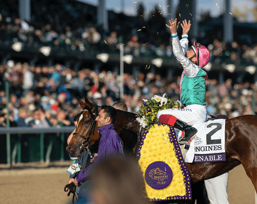Enable after winning the Breeders' Cup Turf