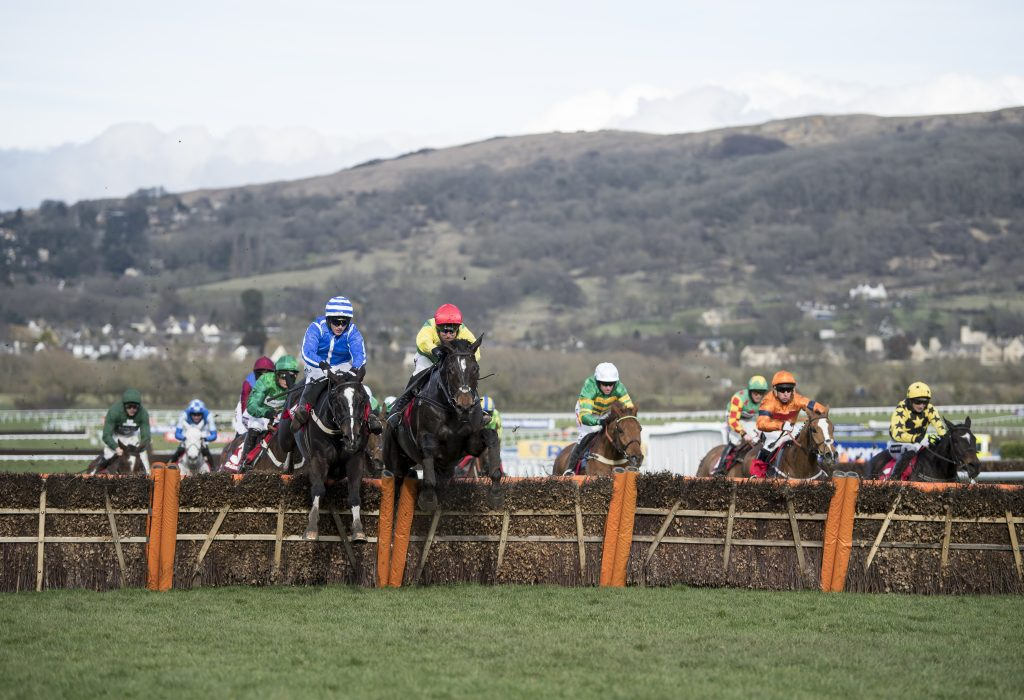 Penhill and Supasundae jump the final hurdle in the Stayers' Hurdle