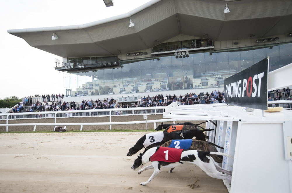 The South Of Ireland Gang 2 Million Mullingar Betting Coup Myracing