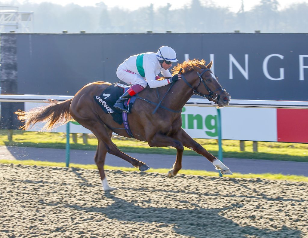 Wissahickon wins the Winter Derby at Lingfield