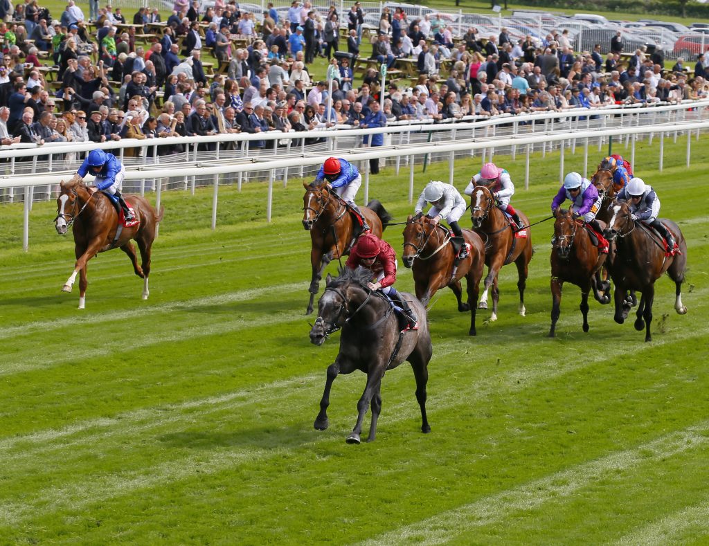 Roaring Lion Wins The Dante Stakes