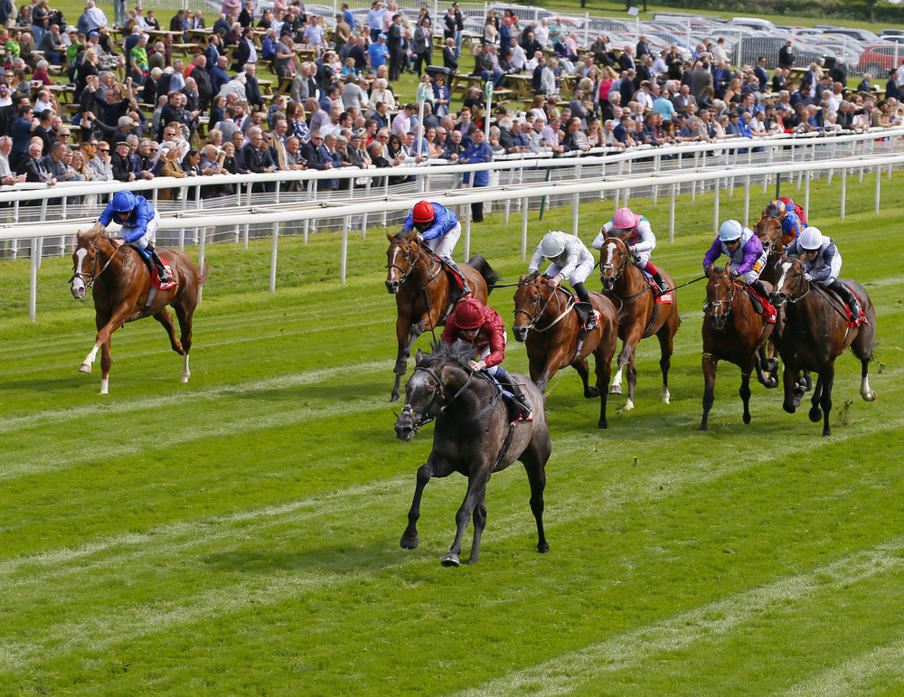 York Dante Stakes Betting Preview, Tips and Trends | myracing