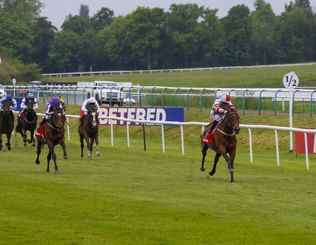 Knight To Behold beats Kew Gardens in the Lingfield Derby Trial