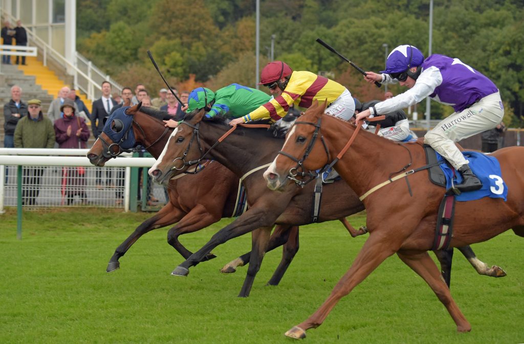 Three horses in contention to win at Nottingham racecourse in 2019