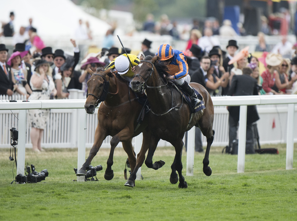 Ascot Gold Cup bigrace verdict 'How this horse is 1001 is beyond me