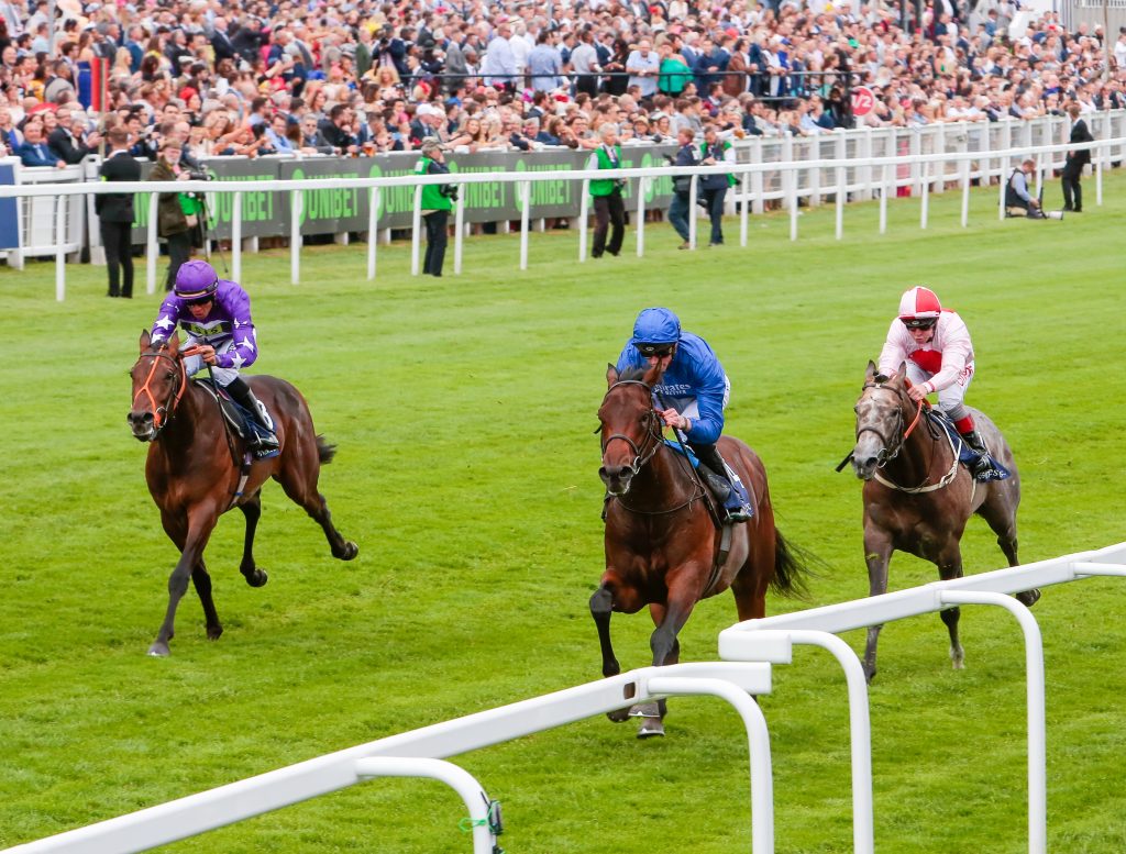 Pinatubo beats Oh Purple Reign and Misty Grey in the Woodcote at Epsom