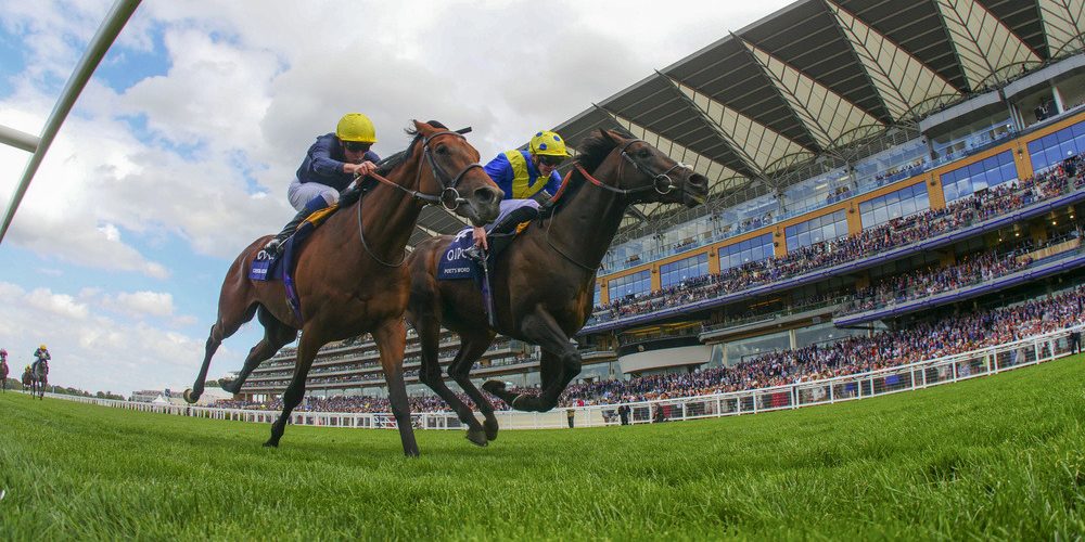 Poet's Word wins the 2018 King George VI and Queen Elizabeth Stakes