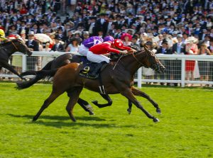 Le Brivido wins the 2017 Jersey Stakes