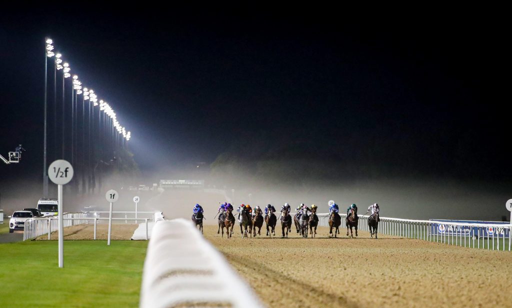 Horses coming out of the mist in the last race at Newcastle, 18/10/19