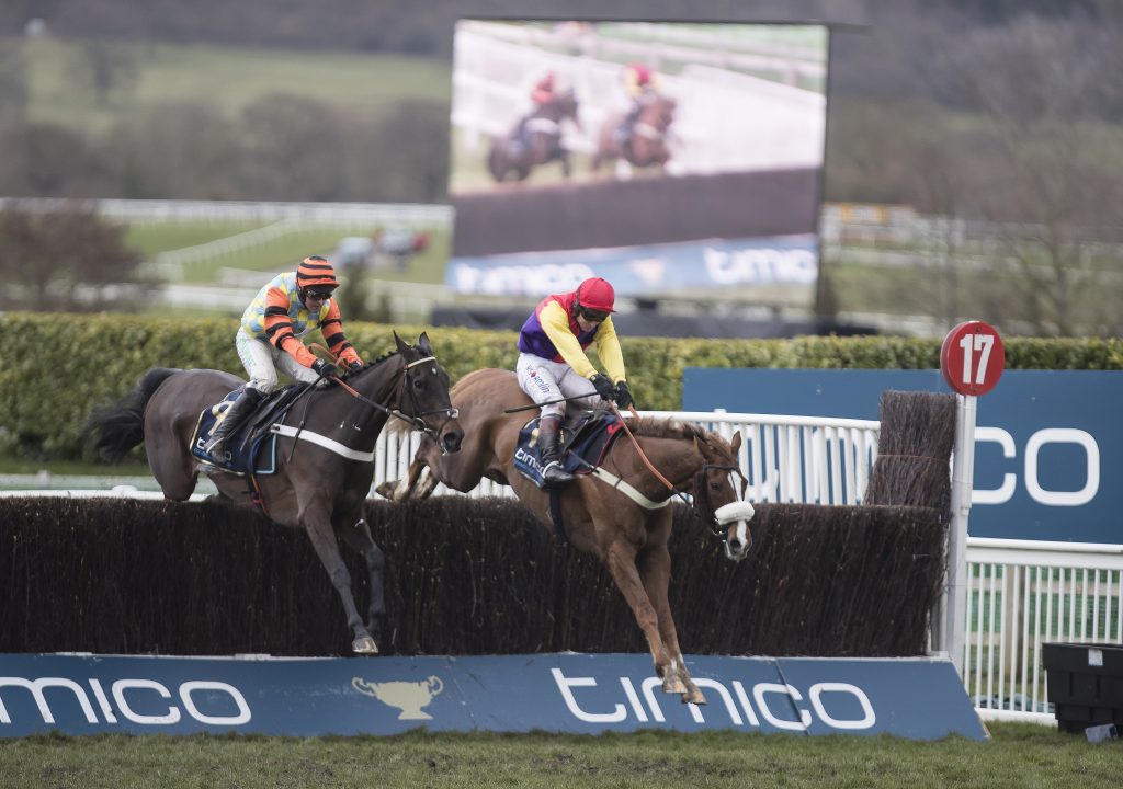 Might Bite and Native River in the 2018 Cheltenham Gold Cup