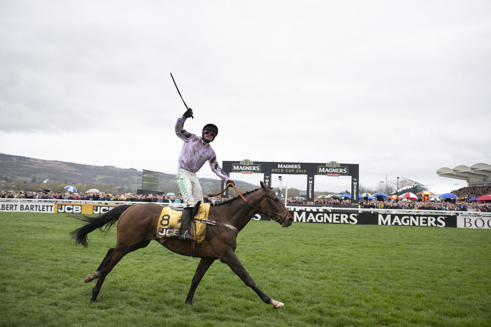 Four Stars To Light Up Cheltenham’s International Meeting