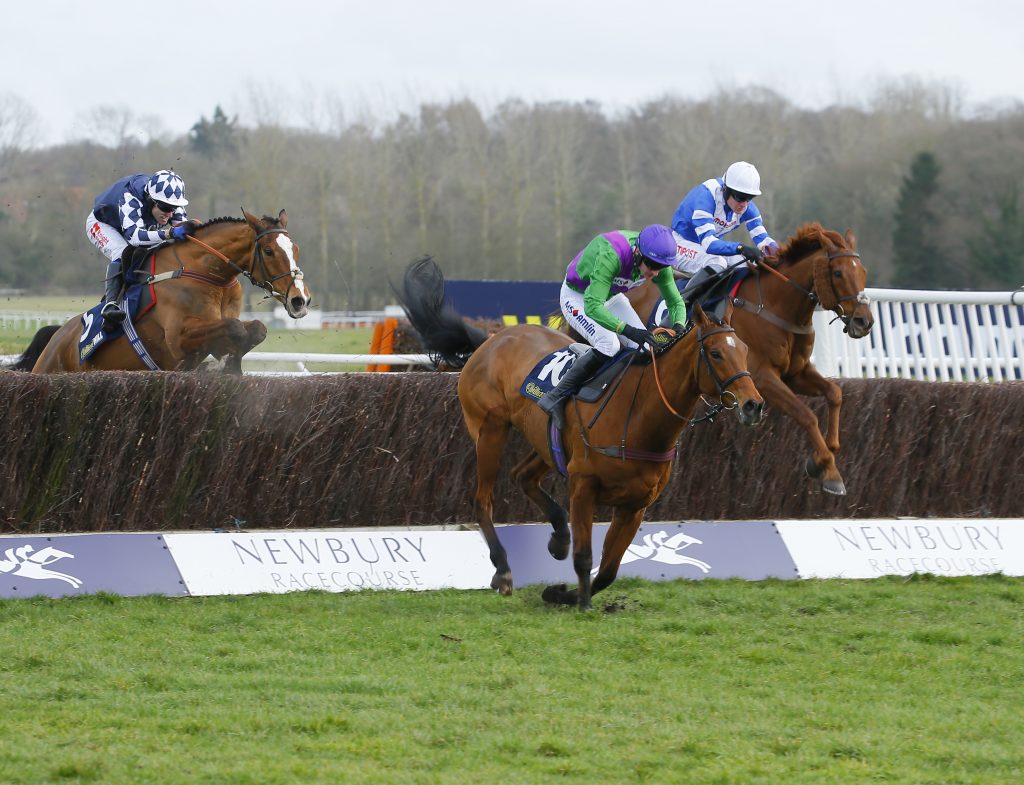 San Benedeto taking the last in the Greatwood Gold Cup at Newbury 2019