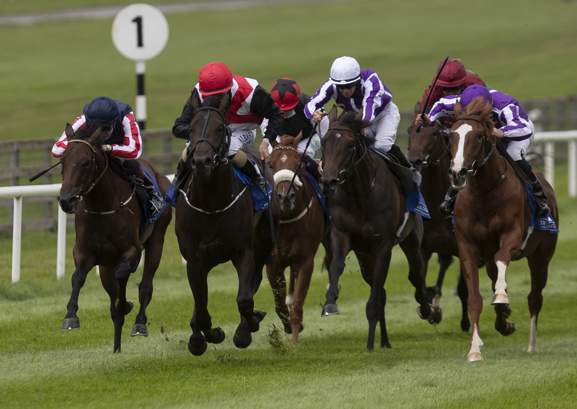 Double Tips | Free Double Bets | myracing