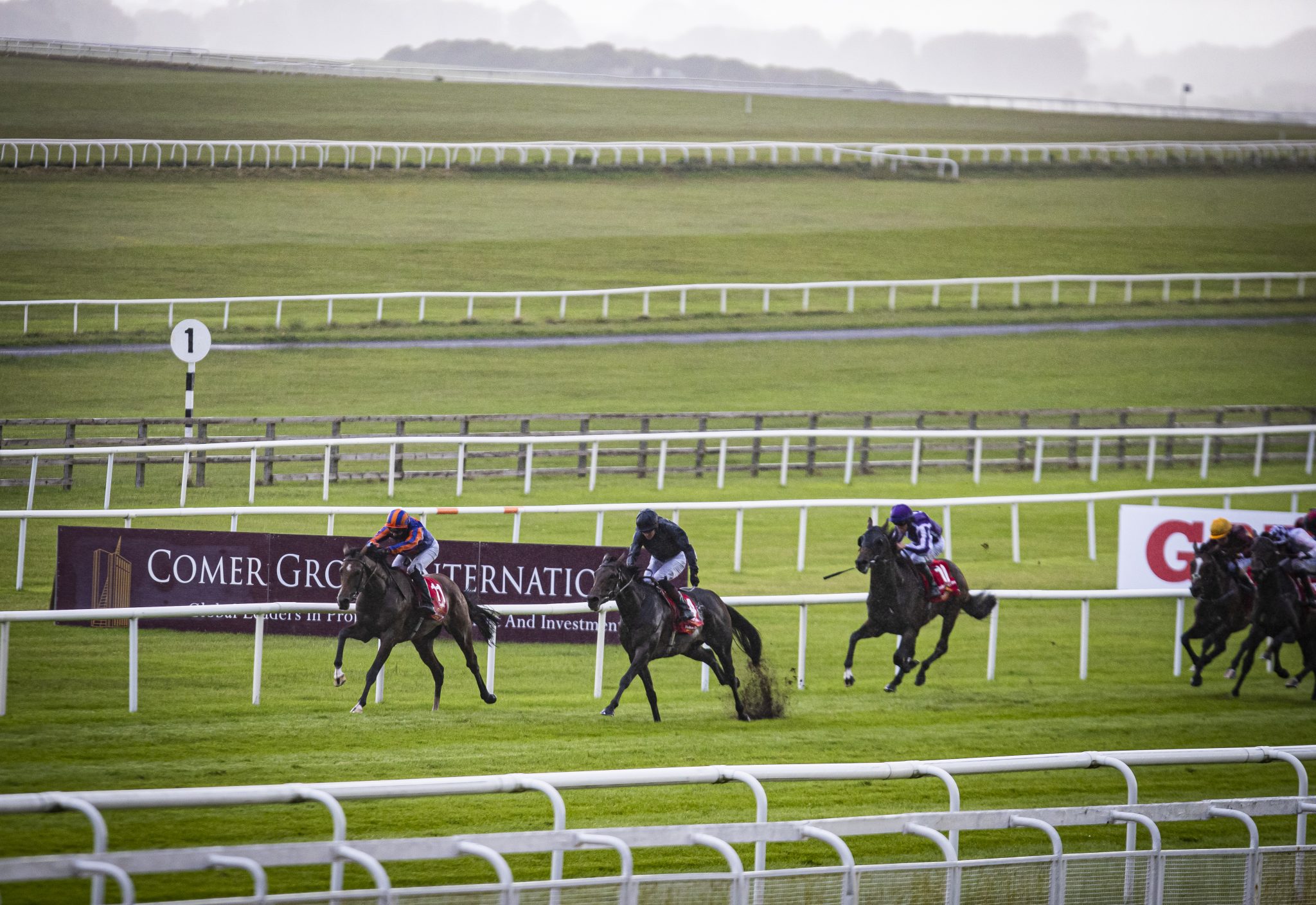 Irish Derby preview and how you could get a huge price on the favourite