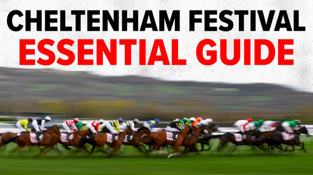 Cheltenham Essential Guide