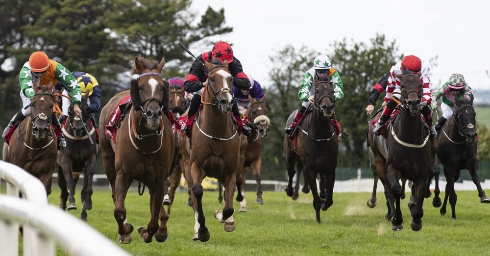 gordon elliott stable tour cheltenham 2022