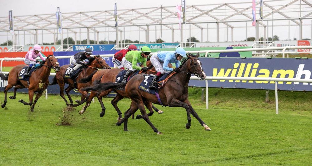 gordon elliott stable tour cheltenham 2022