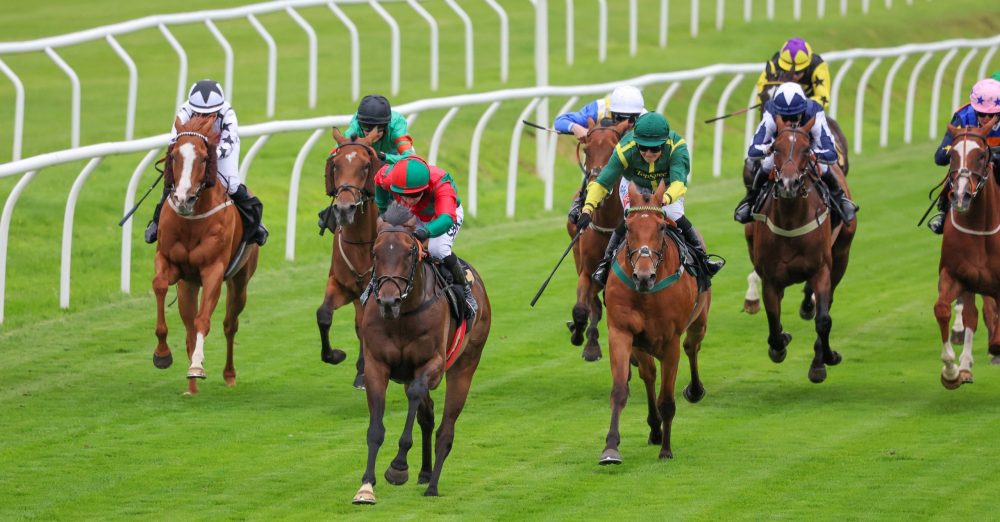 gordon elliott stable tour cheltenham 2022