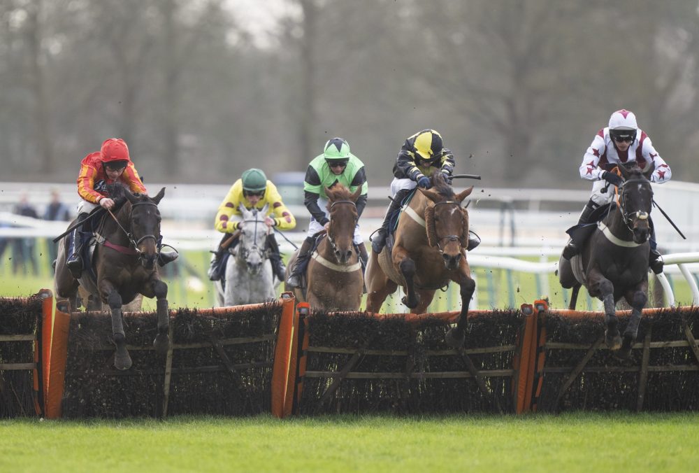 emma lavelle stable tour