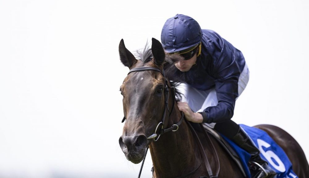 gordon elliott stable tour cheltenham 2022