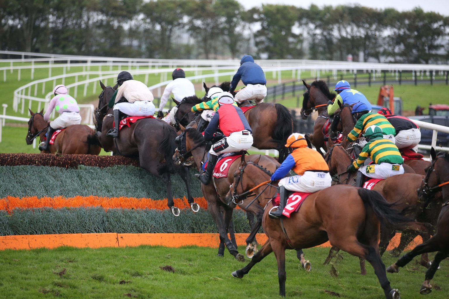 Market Mover Alert: Horse backed from 22-1 into 11-1 in Galway's big ...