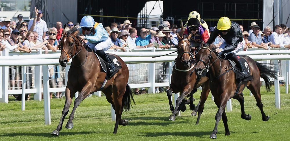 nicky henderson stable tour tickets