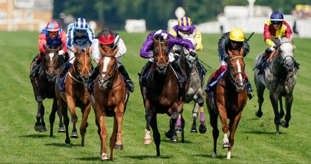 emma lavelle stable tour